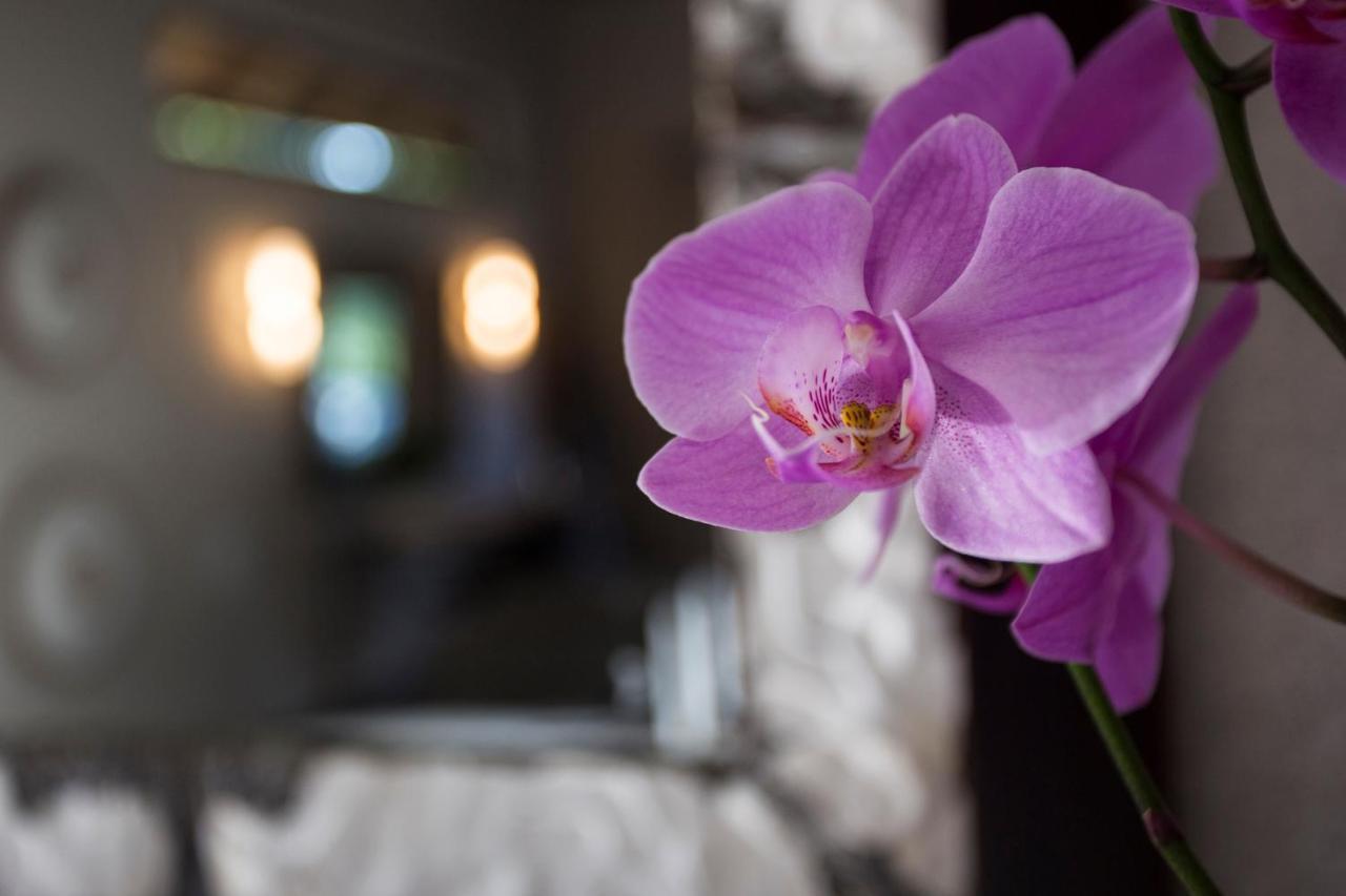 Moya Safari Villa Hoedspruit Zewnętrze zdjęcie